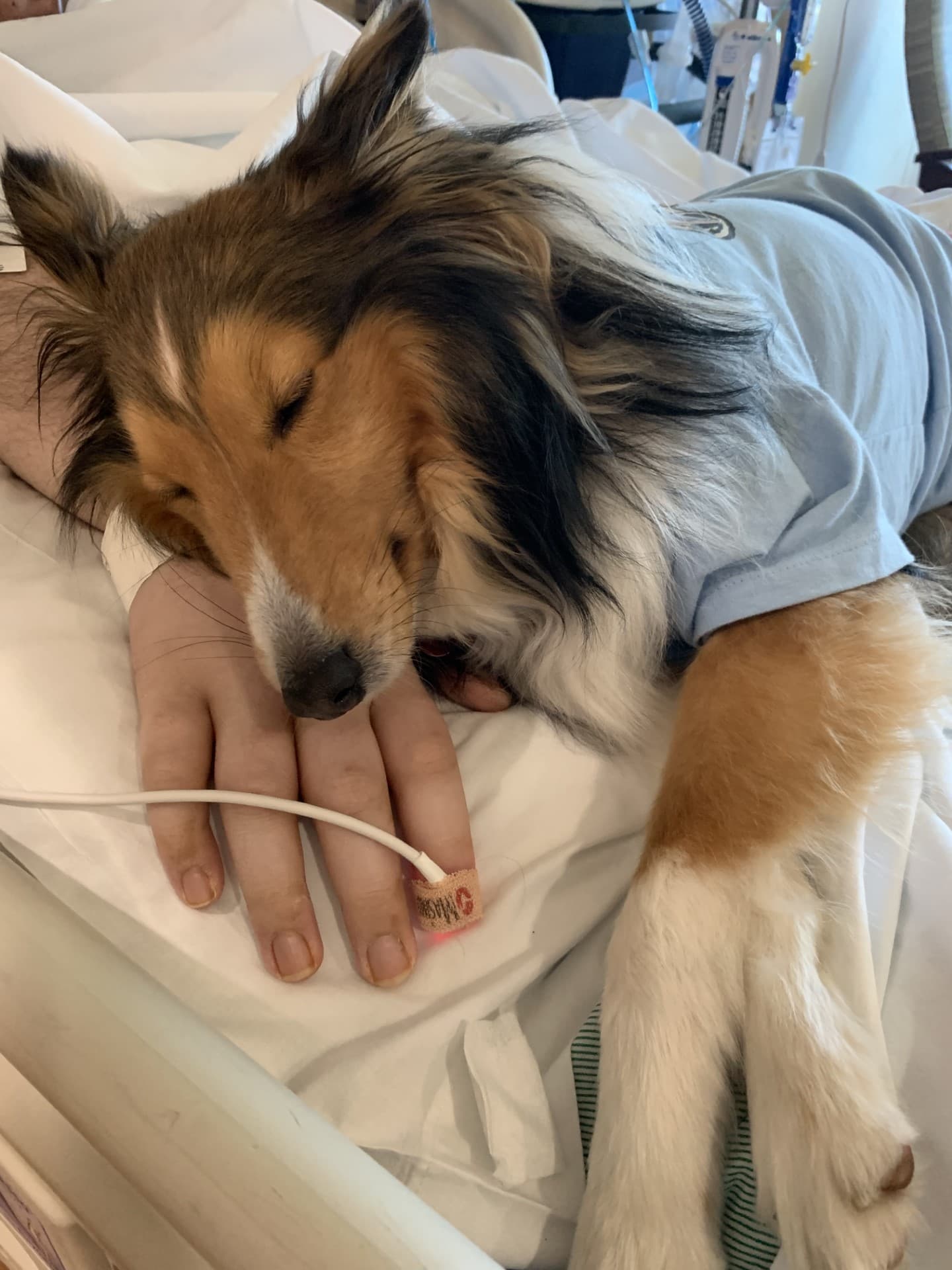 Sam during a hospital and healthcare visit